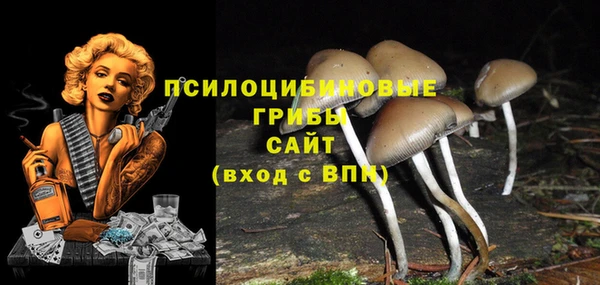 прущая мука Богородицк