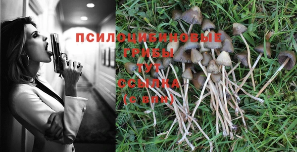 mdpv Богданович