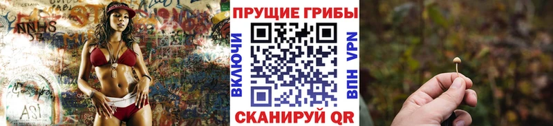 МЕГА зеркало Бийск Галлюциногенные грибы Magic Shrooms